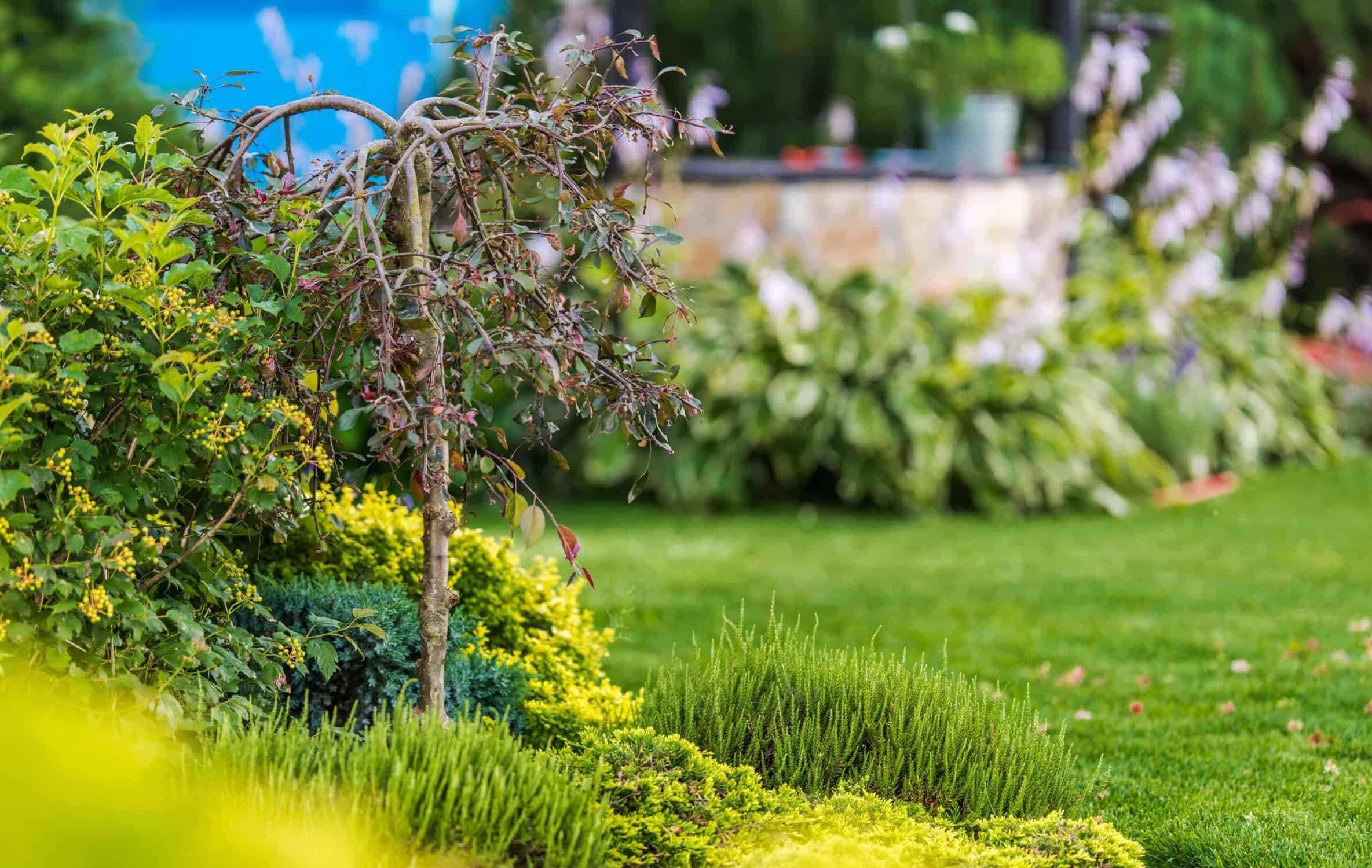 Waar kun je tuin inspiratie opdoen? – Kunst van Staal