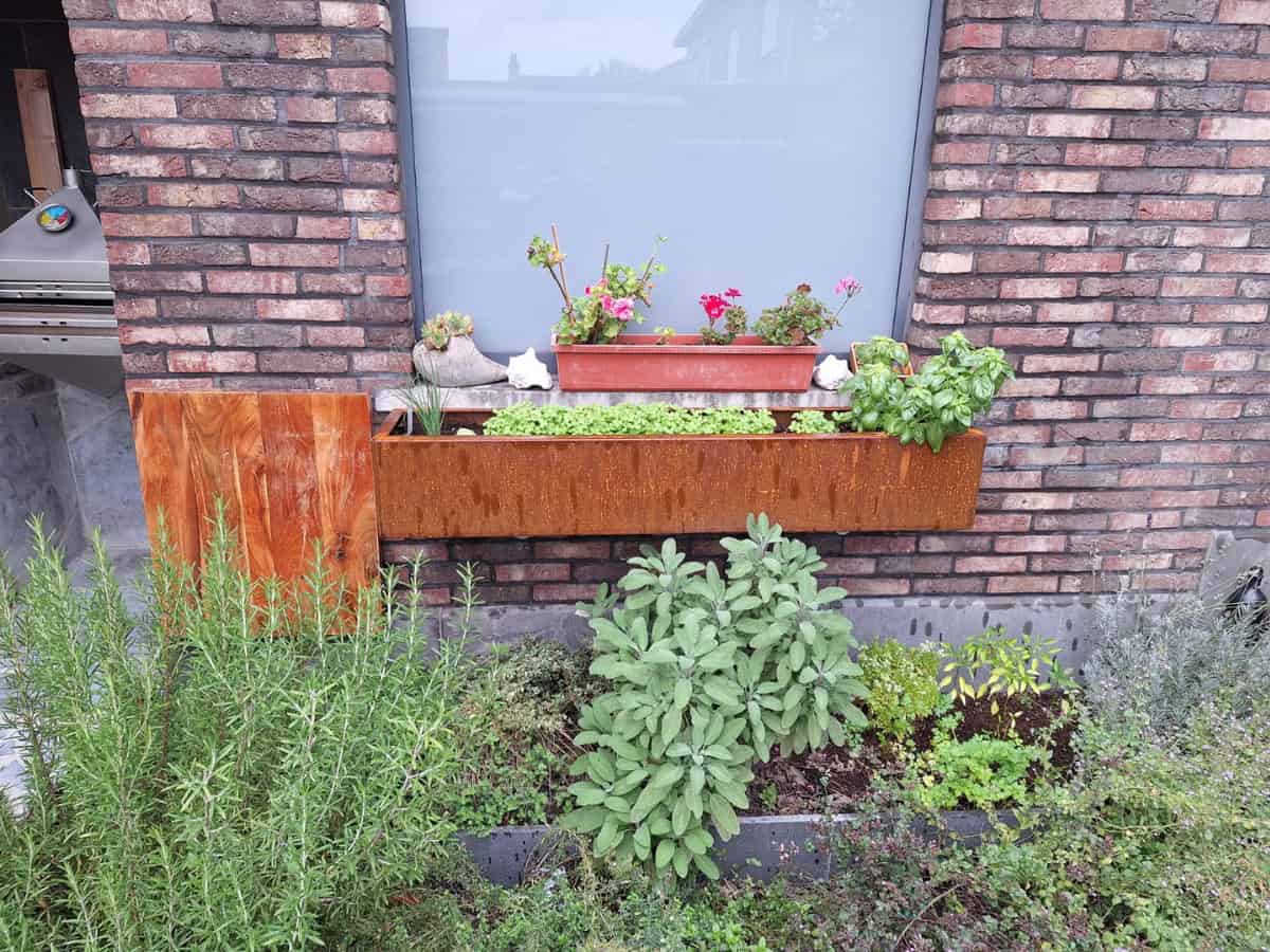 Cortenstaal plantenbak 300 cm - 10