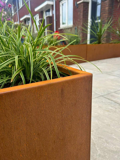 Close-up van een cortenstalen plantenbak