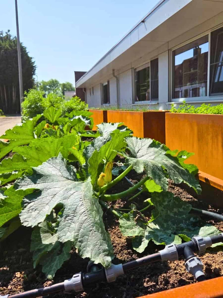 Cortenstalen plantenbakken met geïntegreerde watervoorziening