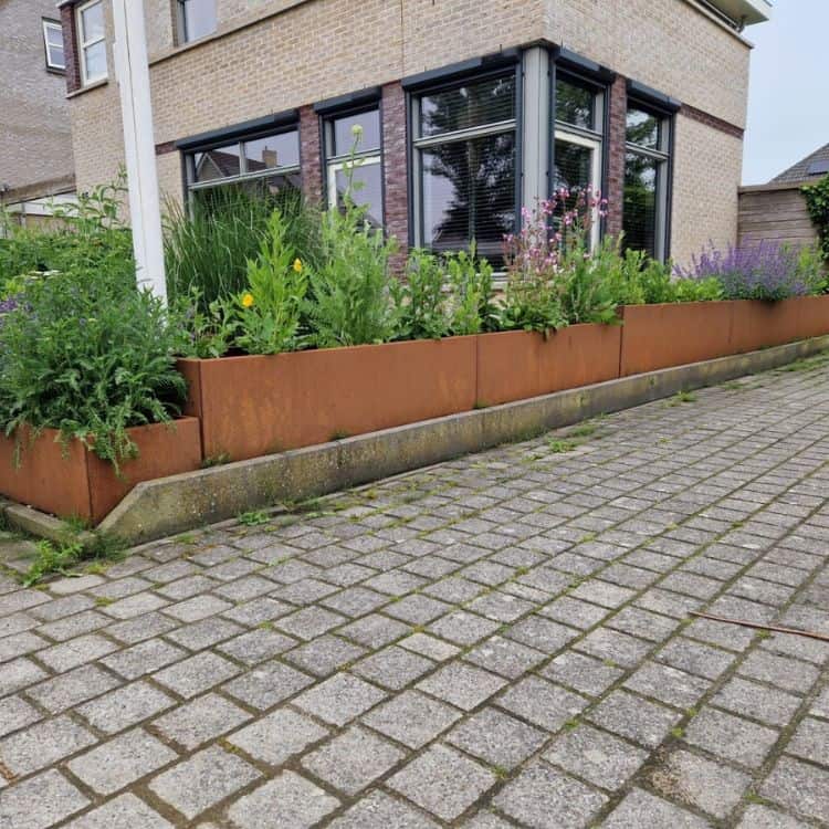Cortenstaal plantenbak 150 x 60 x H 30 cm - 11