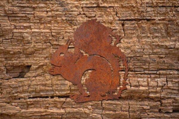 Cortenstaal muurdecoratie Eekhoorn